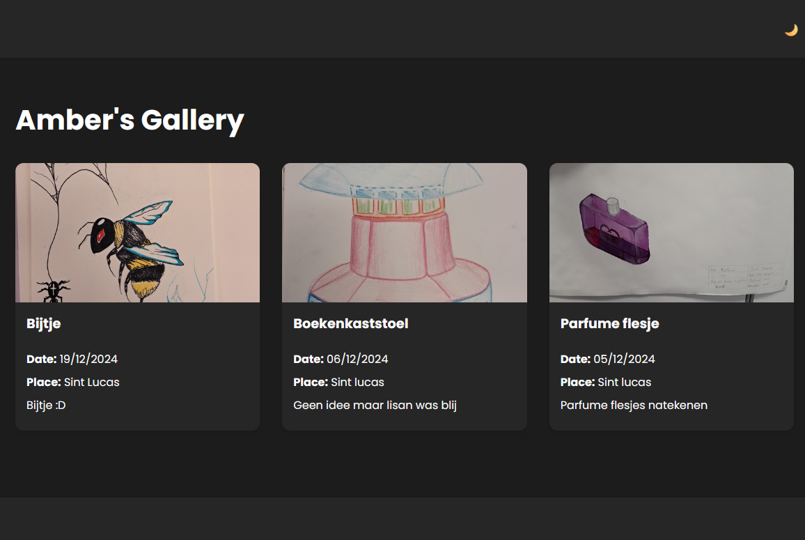 Amber Gallery - Project by Levi Noppers showcasing Next.js, TypeScript, Scss, PostgreSQL