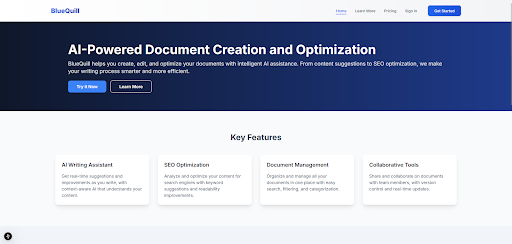 BlueQuill - Project by Levi Noppers showcasing Next.js, TypeScript, TailwindCSS, SupaBase, GO